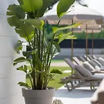Olea Mansion Excelsior - Tennis, Atv, Sauna, Jacuzzi, Gym Willa *