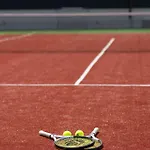Olea Mansion Excelsior - Tennis, Atv, Sauna, Jacuzzi, Gym Willa Bristivica
