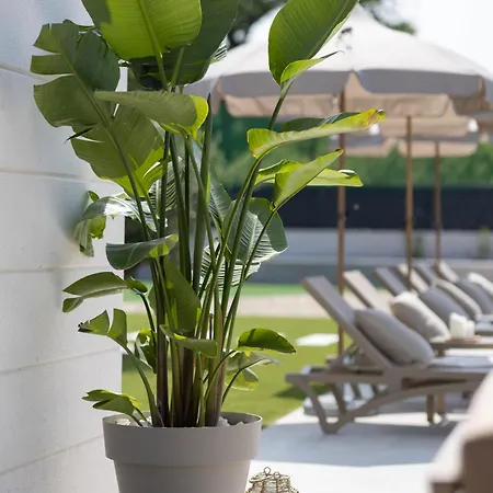 Olea Mansion Excelsior - Tennis, Atv, Sauna, Jacuzzi, Gym Villa *